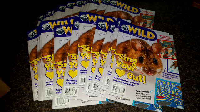 100 copies of Wild Magazine !